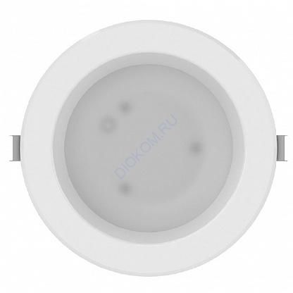 Светильник Термит LED-45 -d245/В/М/3500 (Д02439ЕК)